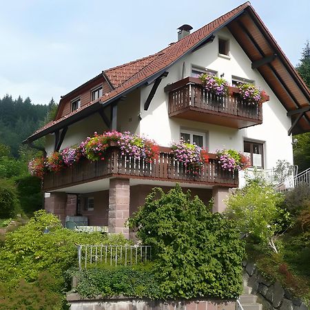 Haus Herbert Panter Bad Peterstal-Griesbach Kültér fotó