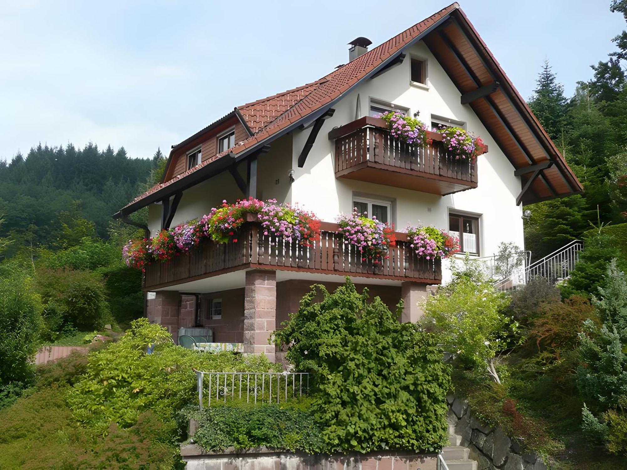 Haus Herbert Panter Bad Peterstal-Griesbach Kültér fotó
