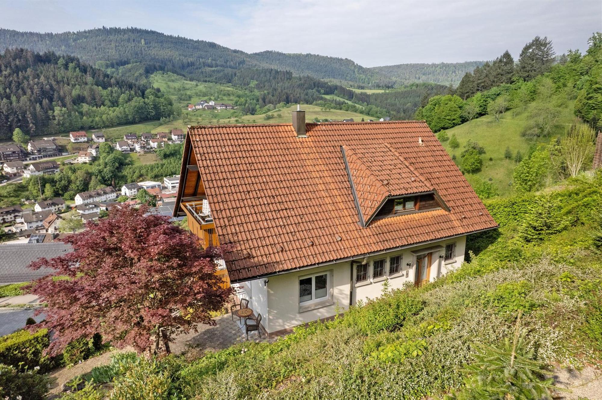Haus Herbert Panter Bad Peterstal-Griesbach Kültér fotó